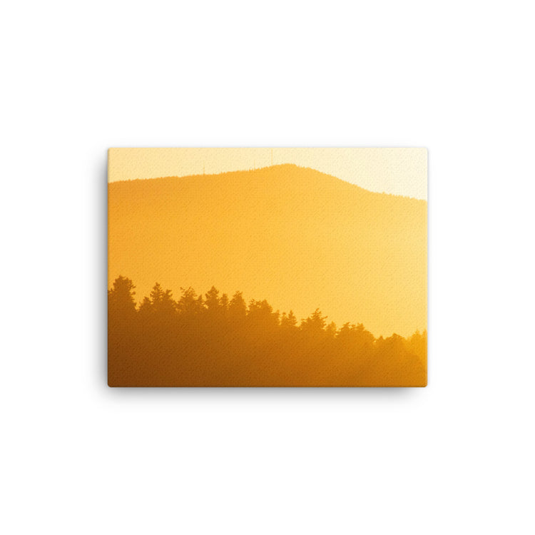 Creamsicle PNW Sunset Canvas Print