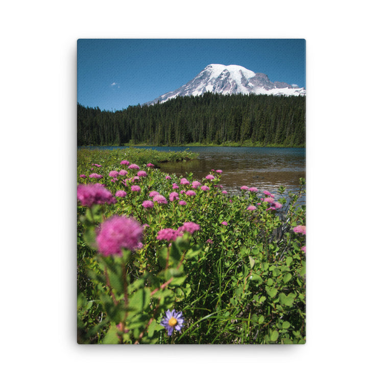 Wildflowers Mt. Rainier National Park Canvas Print
