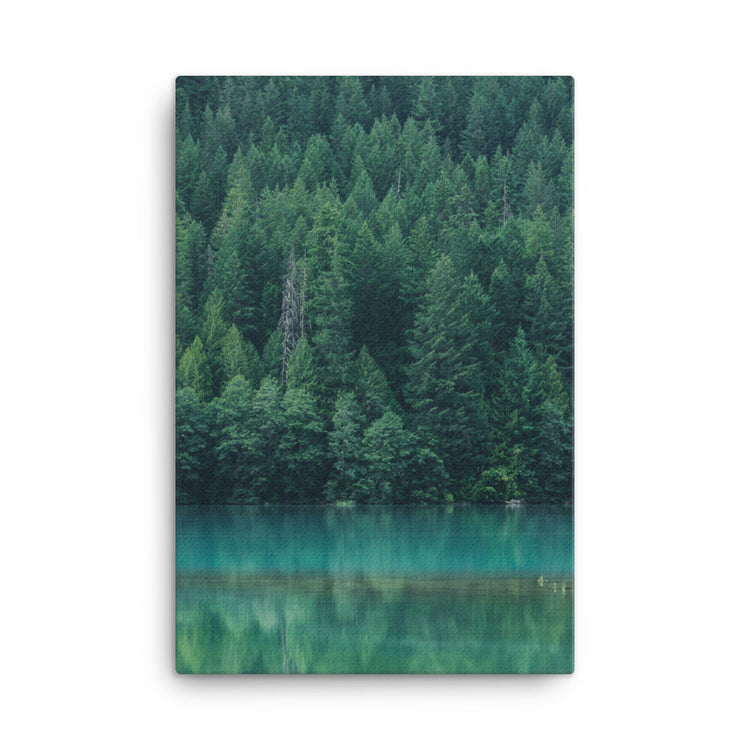 Reflexión del lago Diablo Lienzo