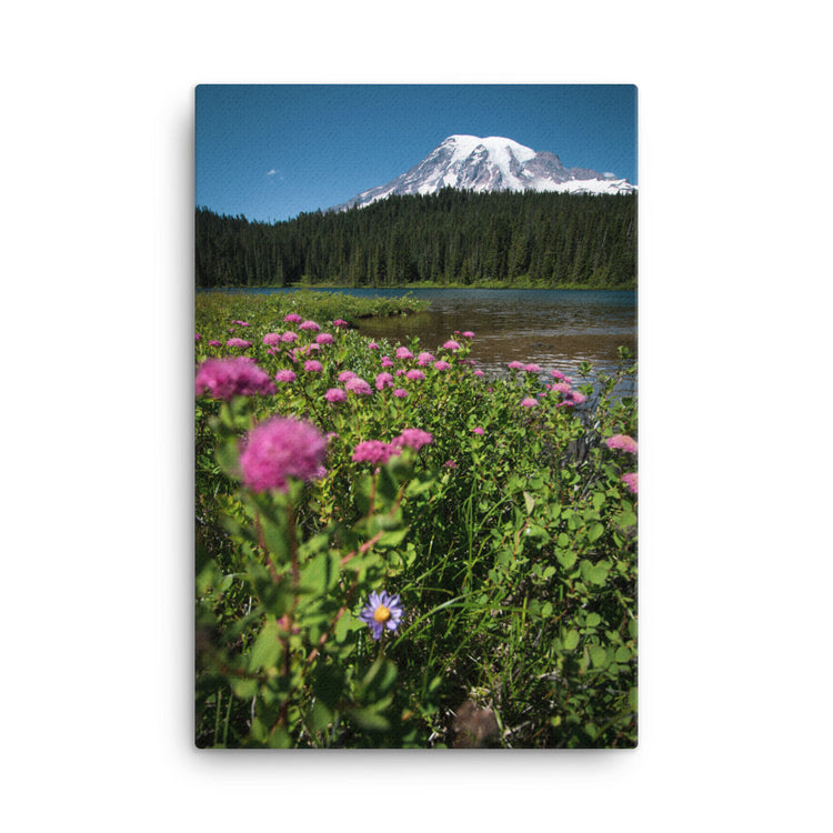 Wildflowers Mt. Rainier National Park Canvas Print