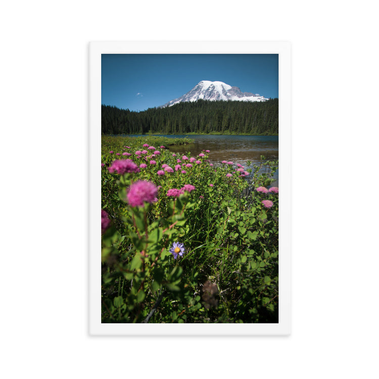 Lámina enmarcada Flores silvestres Parque Nacional Monte Rainier