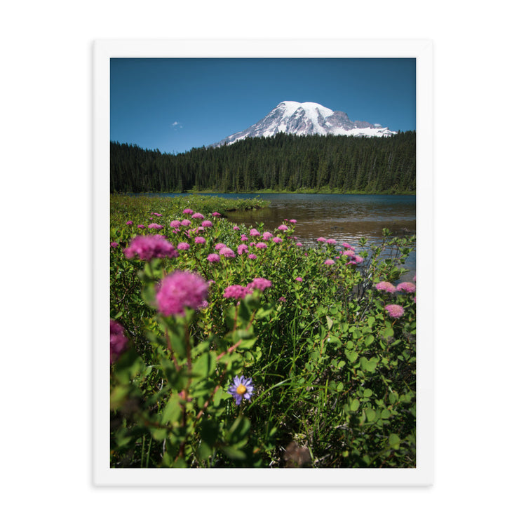 Lámina enmarcada Flores silvestres Parque Nacional Monte Rainier