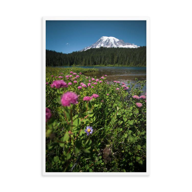Lámina enmarcada Flores silvestres Parque Nacional Monte Rainier
