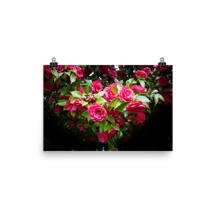 Estampado de rosal floreciente