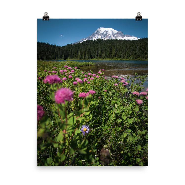 Wildflowers Mt. Rainier National Park Print