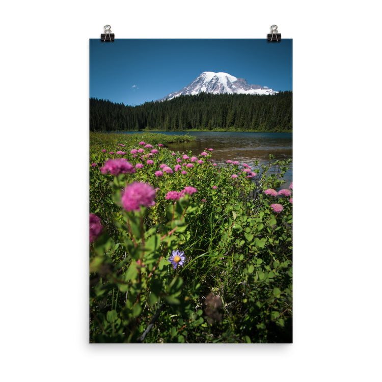 Wildflowers Mt. Rainier National Park Print