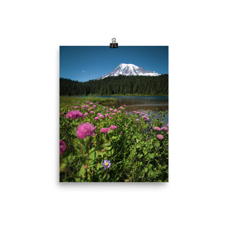 Wildflowers Mt. Rainier National Park Print