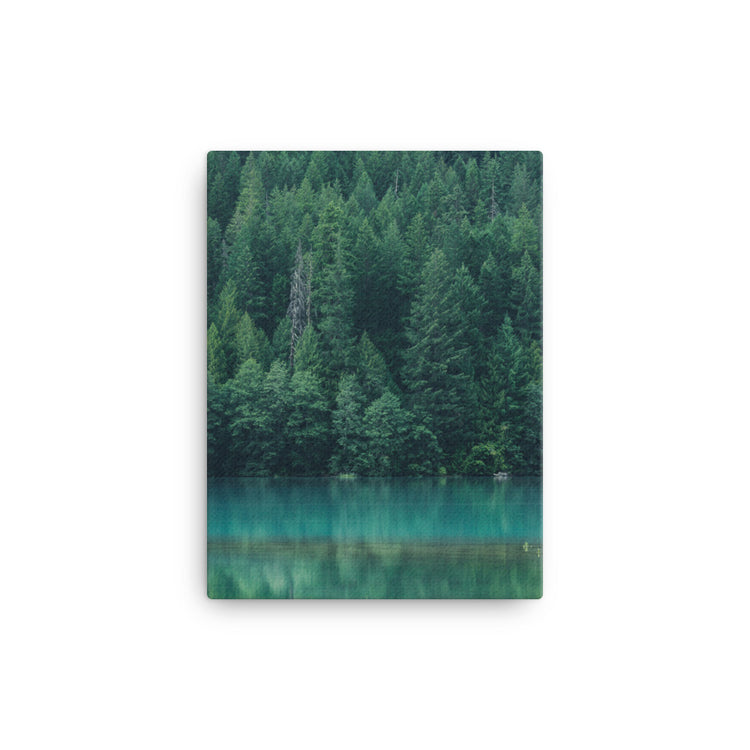 Diablo Lake Reflection Canvas Print