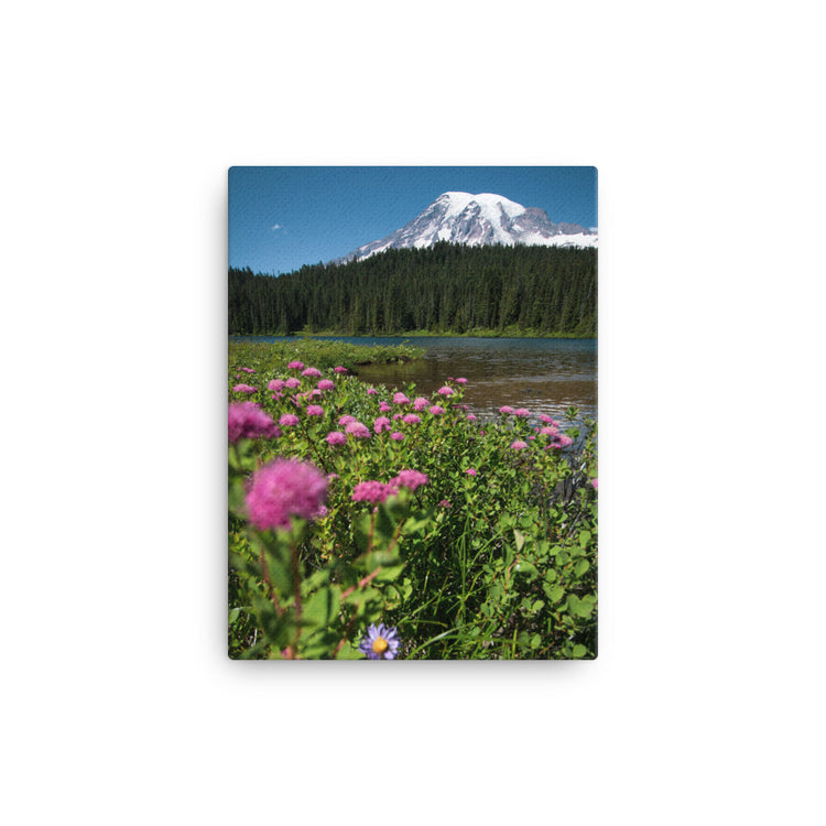 Wildflowers Mt. Rainier National Park Canvas Print