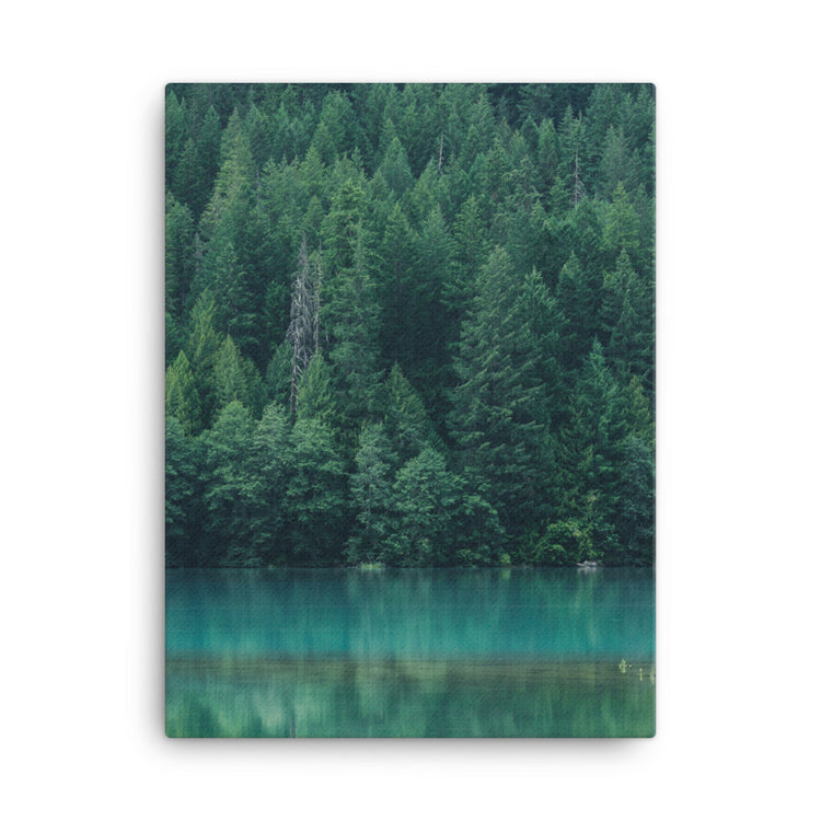 Diablo Lake Reflection Canvas Print