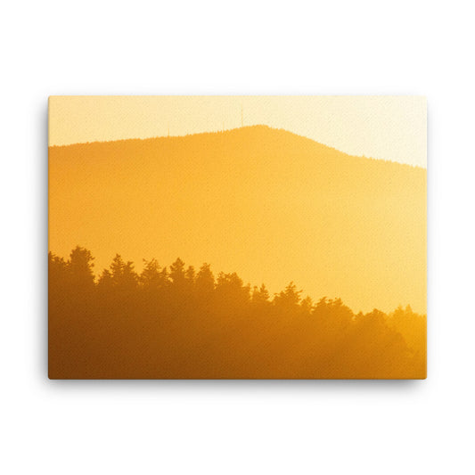 Creamsicle PNW Sunset Canvas Print