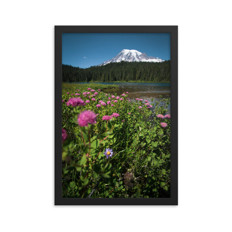Wildflowers Mt. Rainier National Park Framed Print