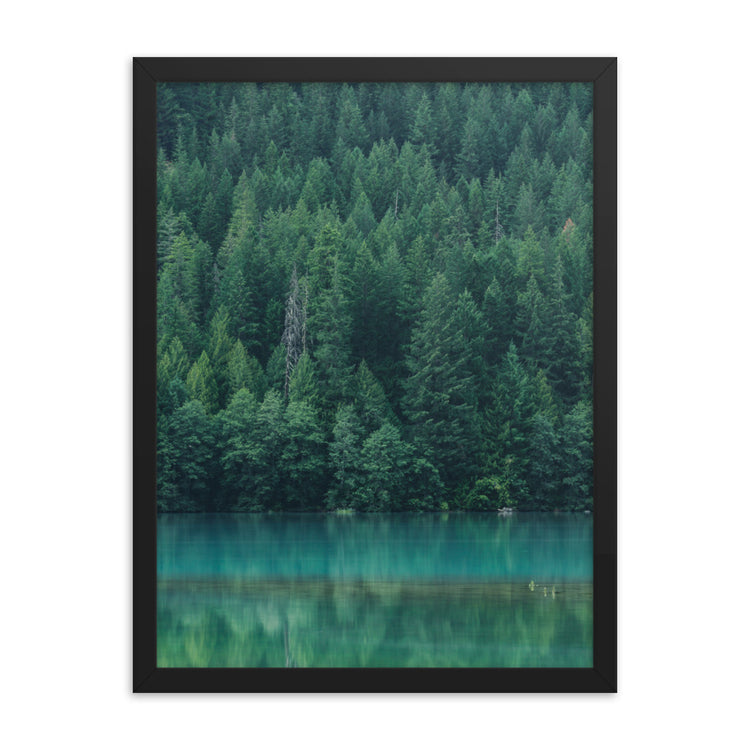 Diablo Lake Reflection Framed Print