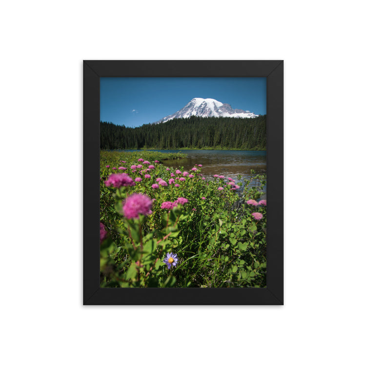 Lámina enmarcada Flores silvestres Parque Nacional Monte Rainier
