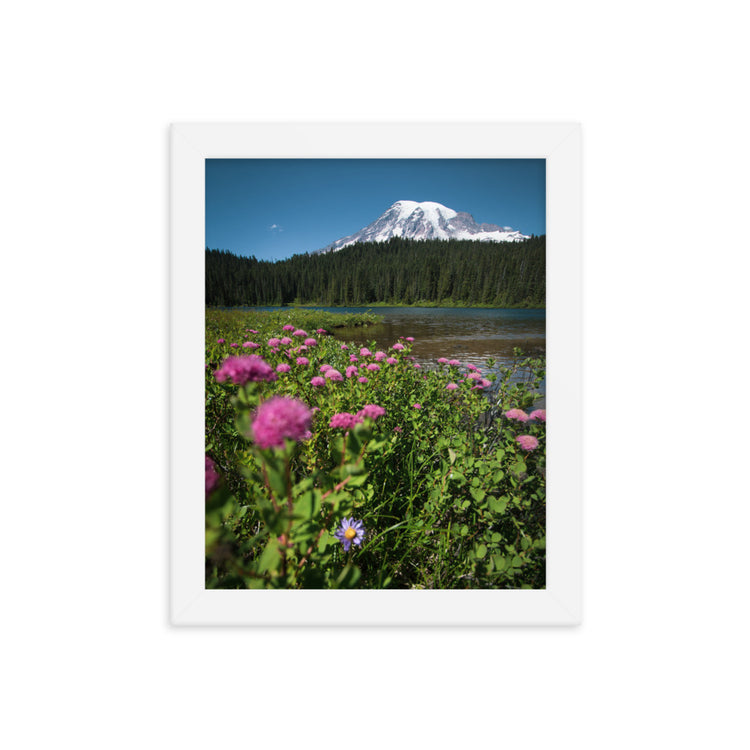 Lámina enmarcada Flores silvestres Parque Nacional Monte Rainier