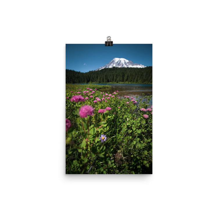 Wildflowers Mt. Rainier National Park Print