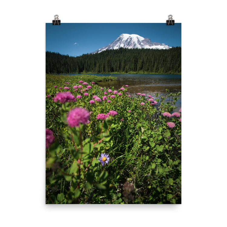 Impresión del Parque Nacional del Monte Rainier de flores silvestres